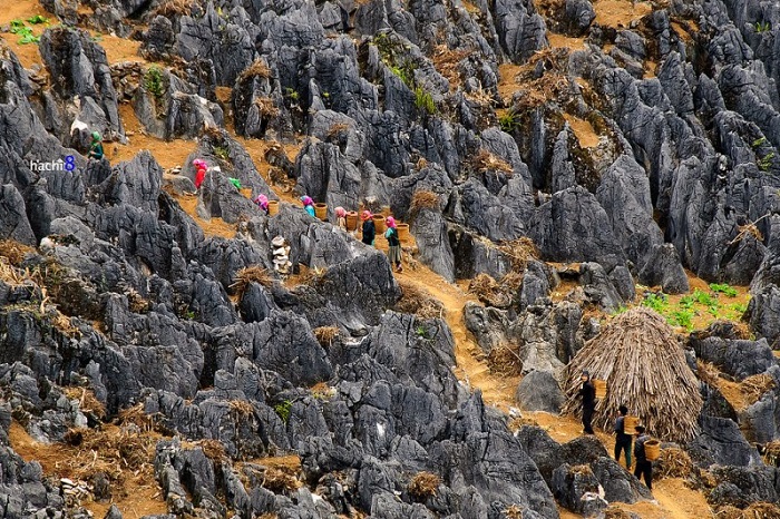 Cao nguyên đá Đồng Văn Hà Giang