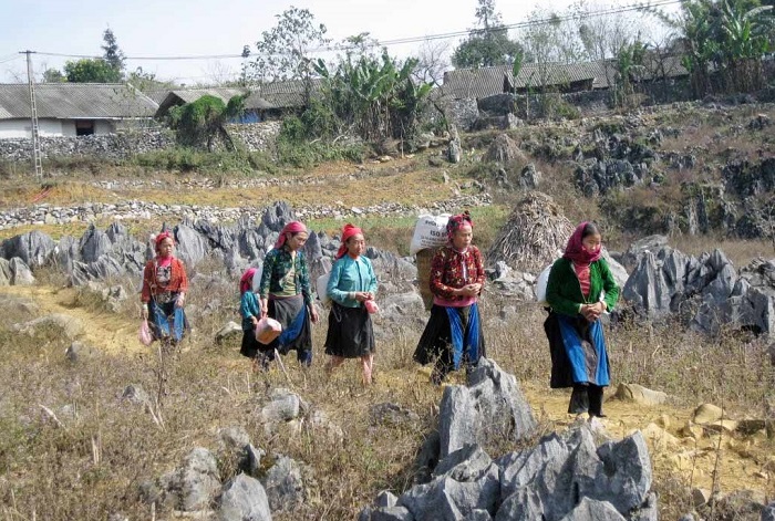 Cao nguyên đá Đồng Văn