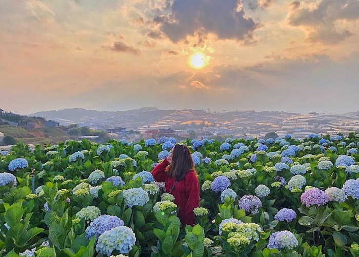 địa điểm du lịch Đà Lạt