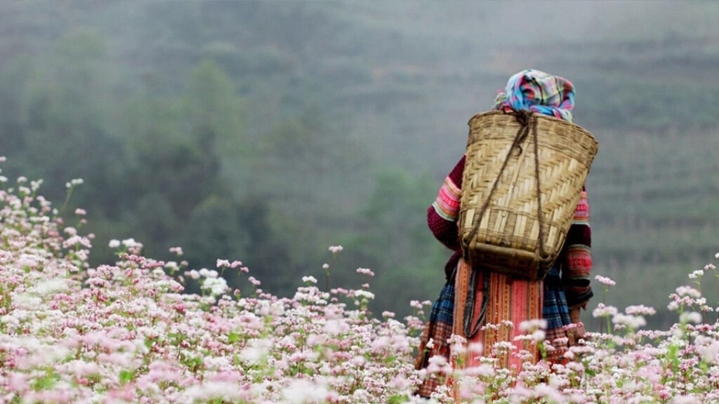 Lưu ý khi đi Hà Giang trong tháng 4