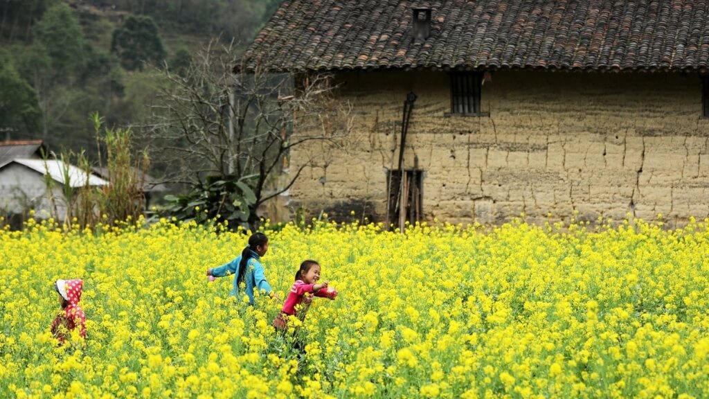 Tháng 3 hoa nở rộ tại Hà Giang