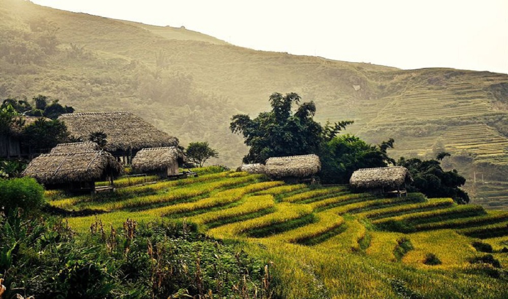 Hmong Mountain Retreat Sapa